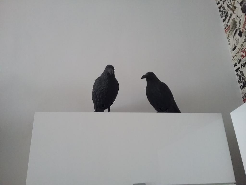 Apartament Pod Wrona Stary Toruń Esterno foto